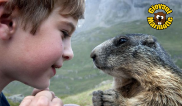 2 Febbraio: Candelora o Giorno della Marmotta?